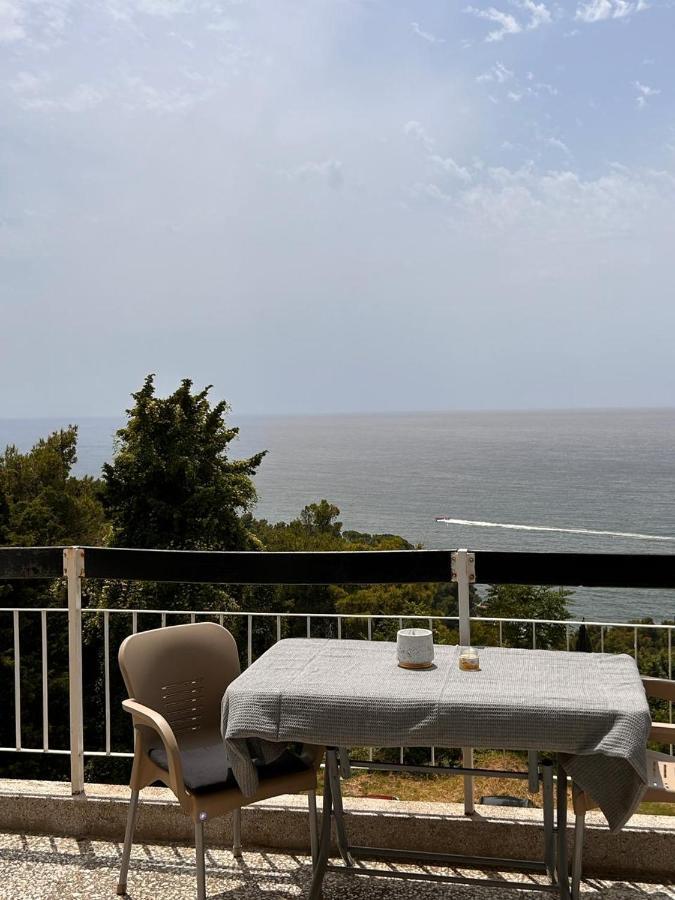 אולסינץ' Apartments Nautilus מראה חיצוני תמונה
